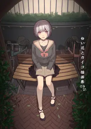 白花と蚕 插图集02中文版本!