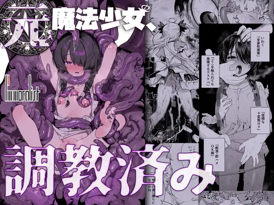 【简体中文版】原魔法少女，调教完成